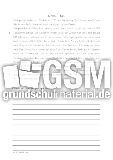 Orang-Utan.pdf